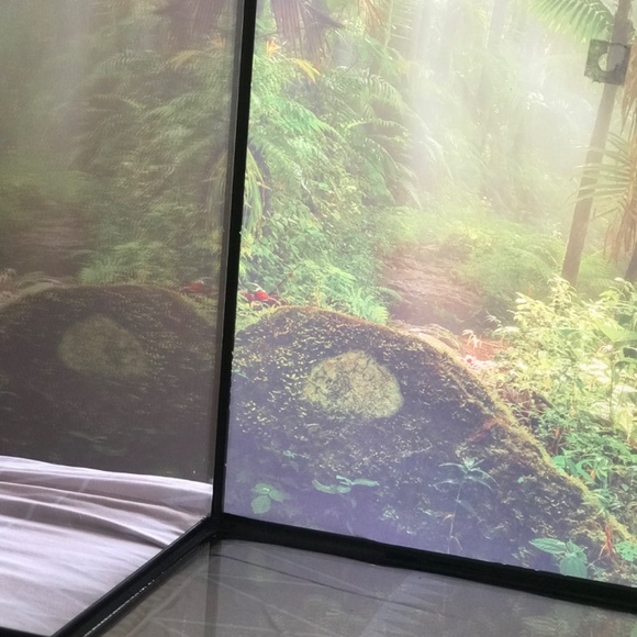 Cage for reptiles - Picture 4 of 6